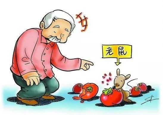 新澳天天开奖资料大全1052期的警惕虚假宣传-全面释义、解释与落实、前沿解答解释落实
